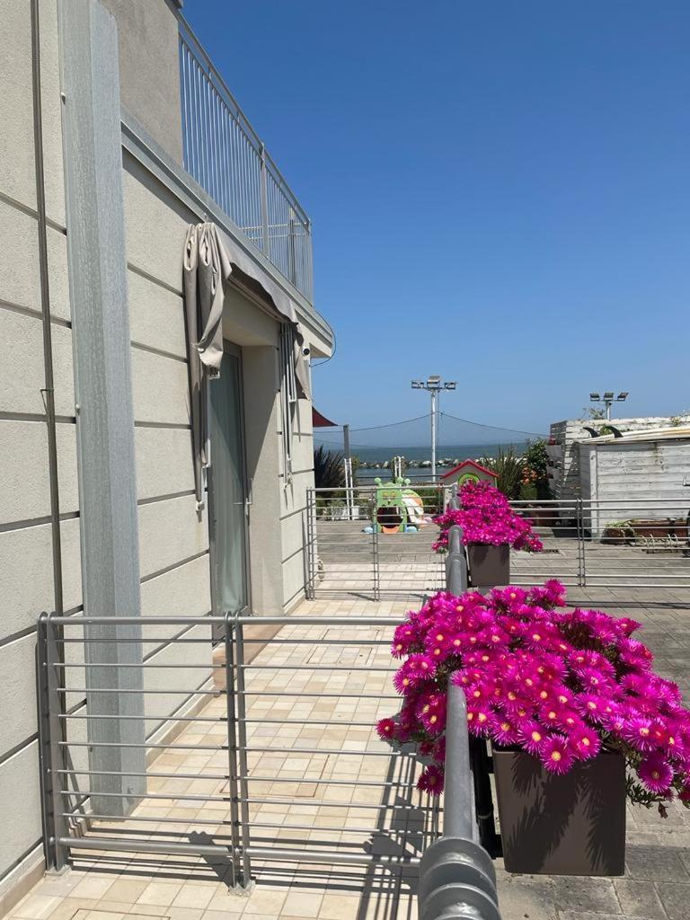 רימיני Hotel & Residence Cavalluccio Marino מראה חיצוני תמונה